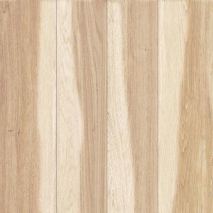 PISO FIORDO MATE | 2.18 | 66x66 | RET | LD V3| MARCELA