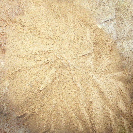 AREIA LAVADA CAMBIASCA | SACO 25kg