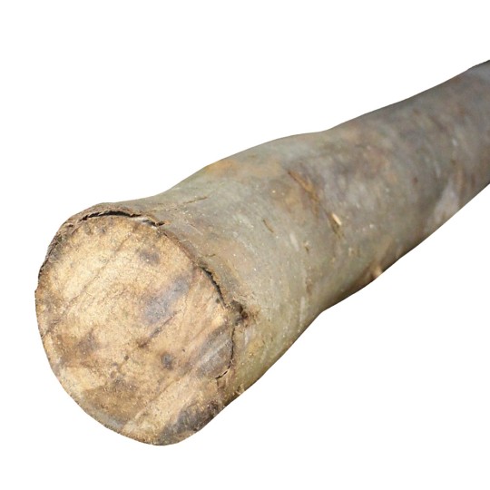 ESCORAS EUCALIPTO COM 5 METROS