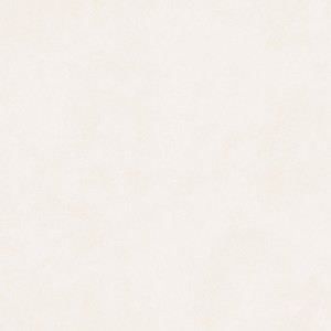 PORC SUBWAY PLUS | 83042 | 2.73 | 83x83 | AC | LD-V2 | CL:A | ACRO