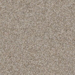PORC PEDRA COZUMEL GRAY OUT | 83080 | 2.73 | 83x83 | LD-V2 | CL: ACRO
